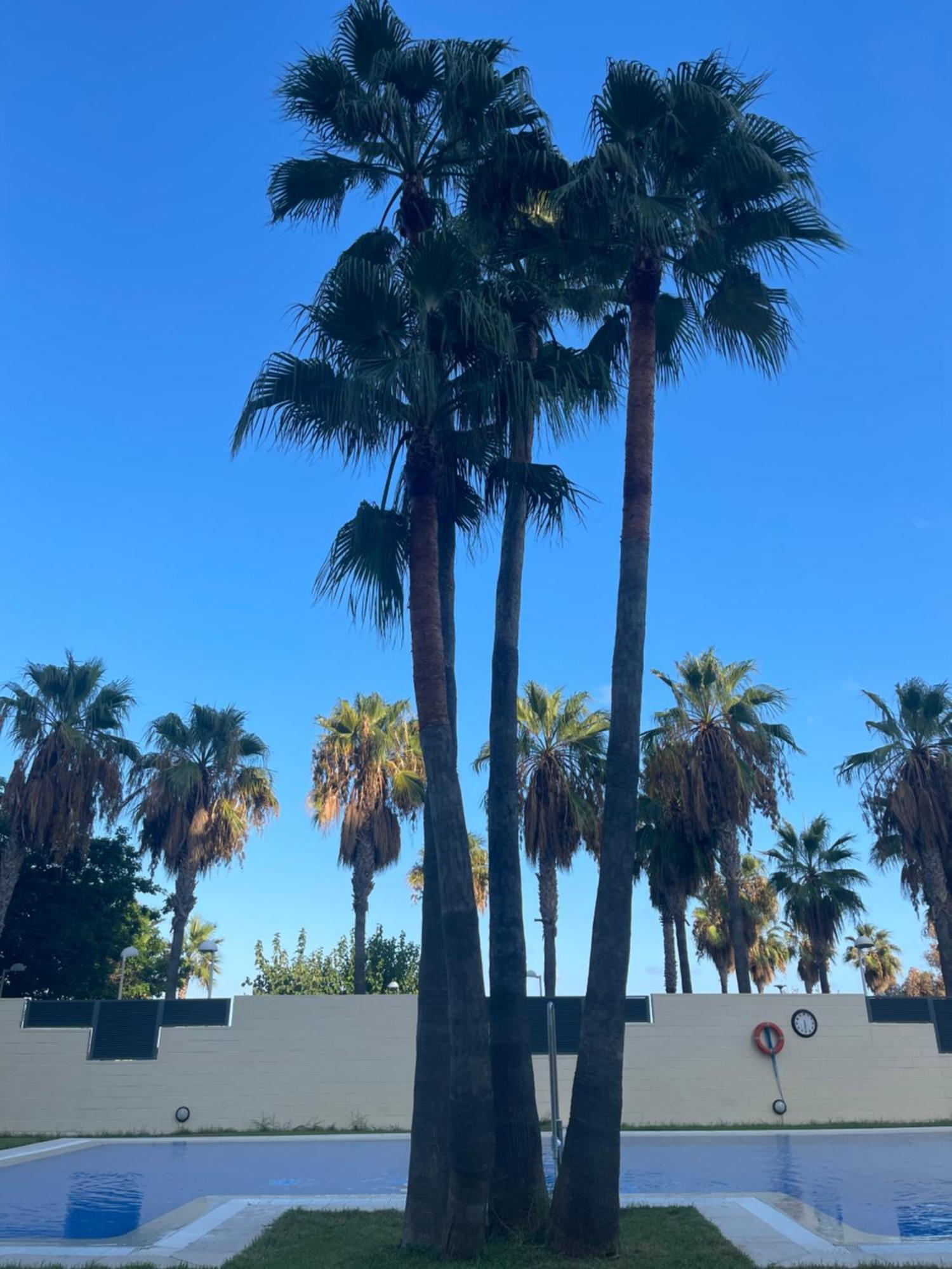 Las Terrazas - Primera Linea De Playa Con Netflix, Disney, Movistar Con Todo El Futbol, Series, Cine Y Prime Video Oropesa del Mar Exterior foto